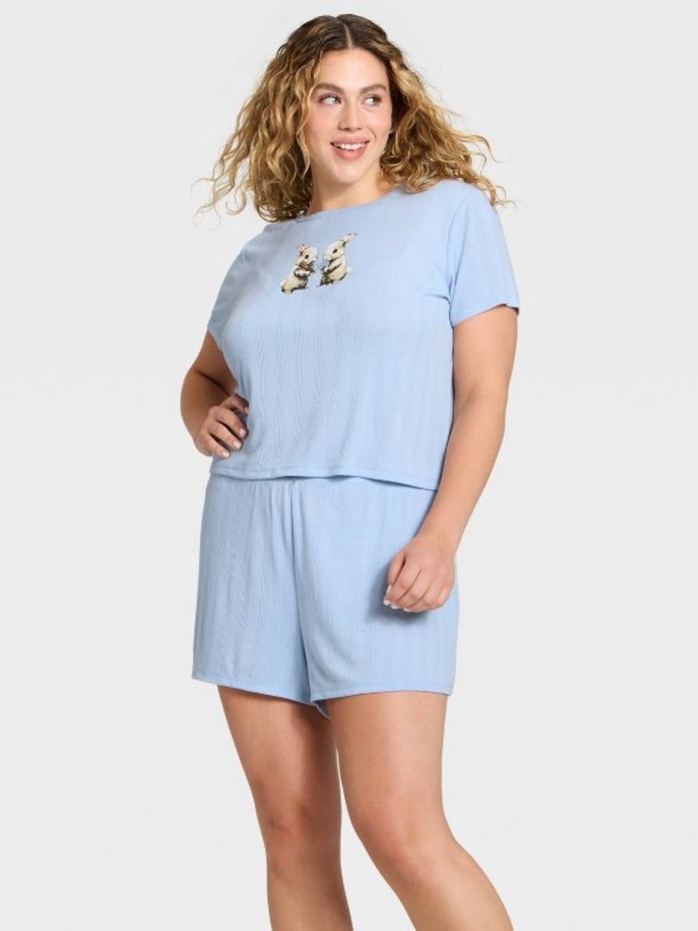 Wild Fable Bunny Pajama Set XXL Blue Pointelle Short Sleeve Shorts NWT Women